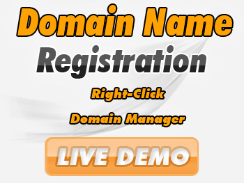 Low-cost domain registration service providers